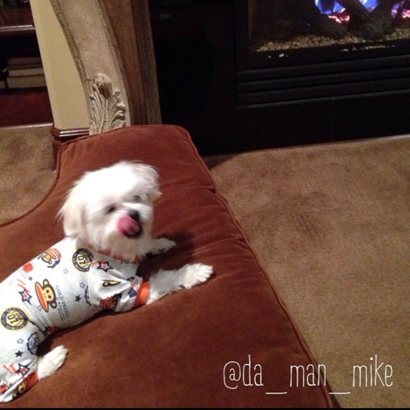 PJs 3 different styles Sold together worn to model only - Picture 5 of 6